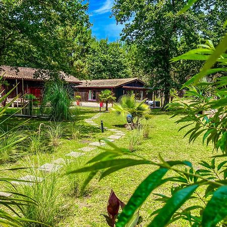 House De La Canopee, Swimming Pool, Lake, Forest, Large Garden And Wifi Hourtin Exteriör bild