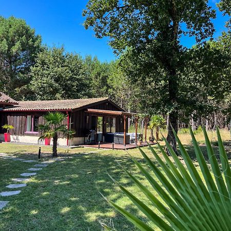 House De La Canopee, Swimming Pool, Lake, Forest, Large Garden And Wifi Hourtin Exteriör bild