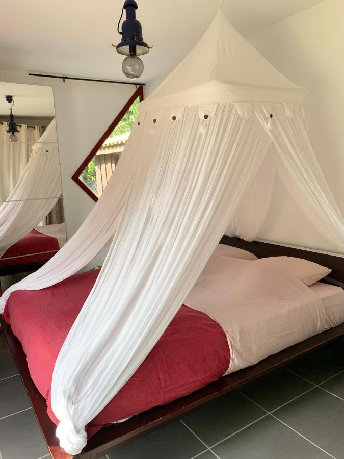House De La Canopee, Swimming Pool, Lake, Forest, Large Garden And Wifi Hourtin Exteriör bild
