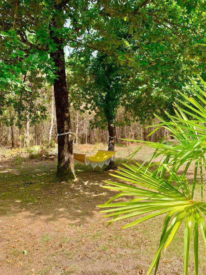 House De La Canopee, Swimming Pool, Lake, Forest, Large Garden And Wifi Hourtin Exteriör bild