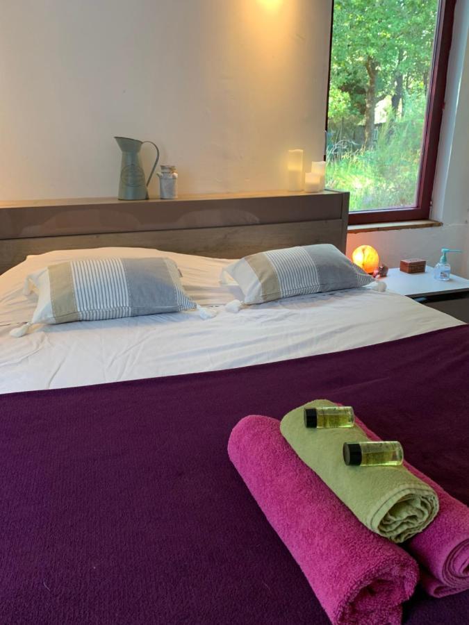 House De La Canopee, Swimming Pool, Lake, Forest, Large Garden And Wifi Hourtin Exteriör bild