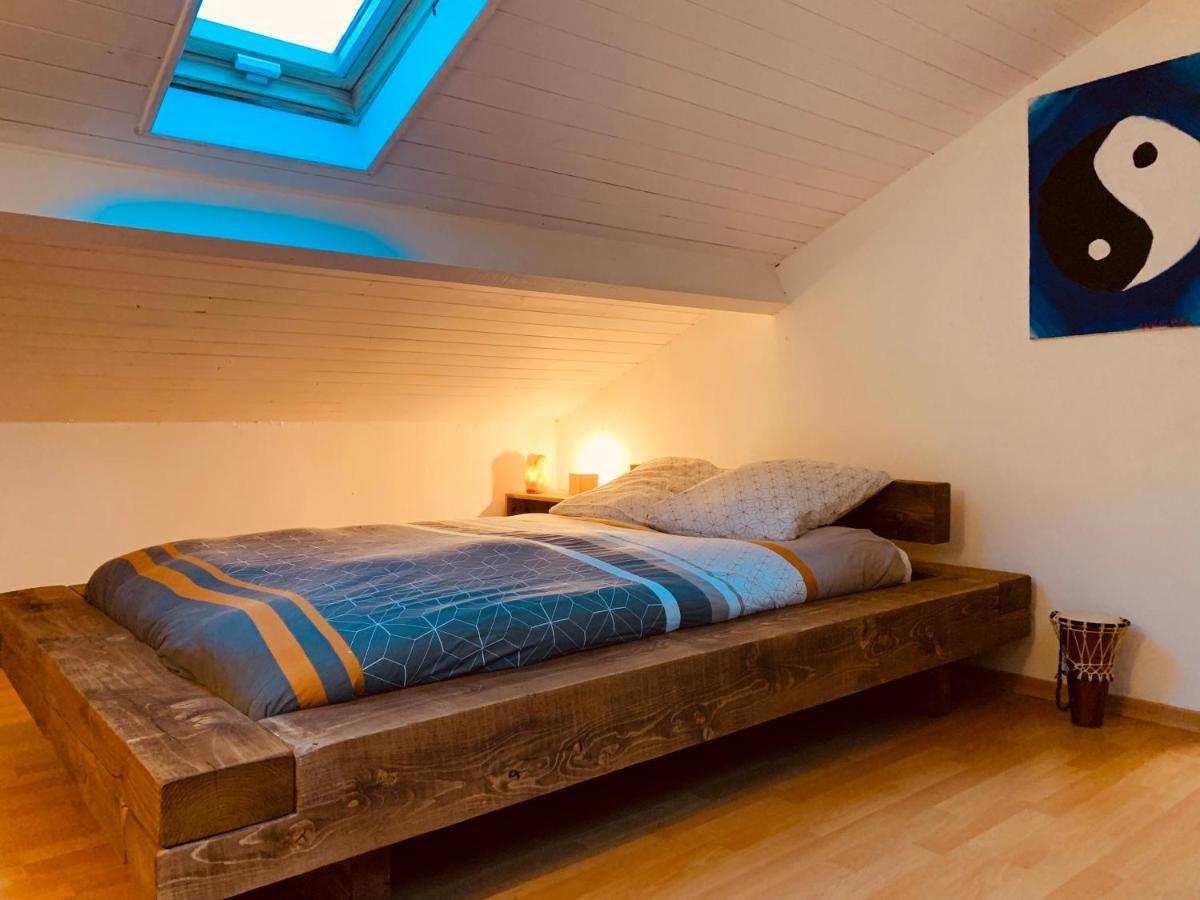 House De La Canopee, Swimming Pool, Lake, Forest, Large Garden And Wifi Hourtin Exteriör bild