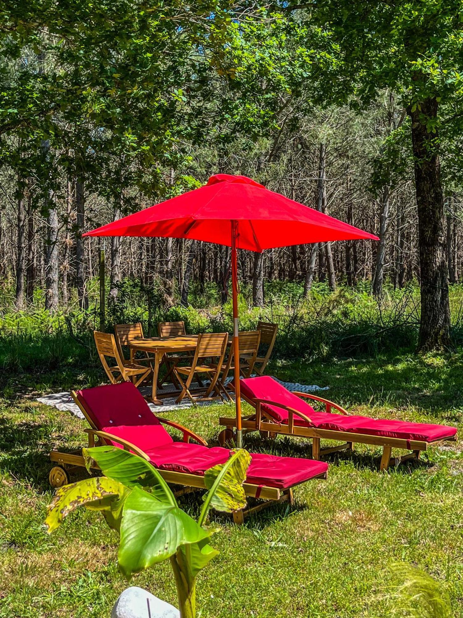 House De La Canopee, Swimming Pool, Lake, Forest, Large Garden And Wifi Hourtin Exteriör bild