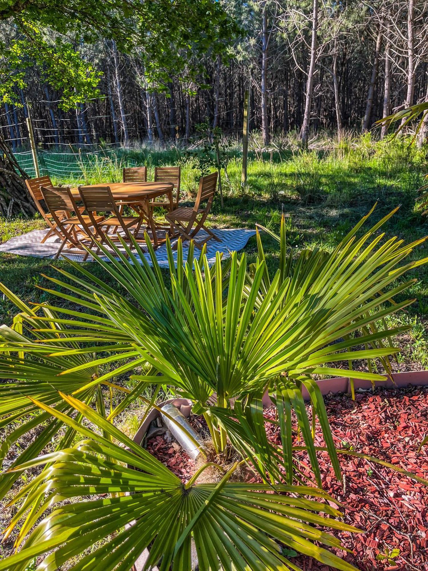 House De La Canopee, Swimming Pool, Lake, Forest, Large Garden And Wifi Hourtin Exteriör bild