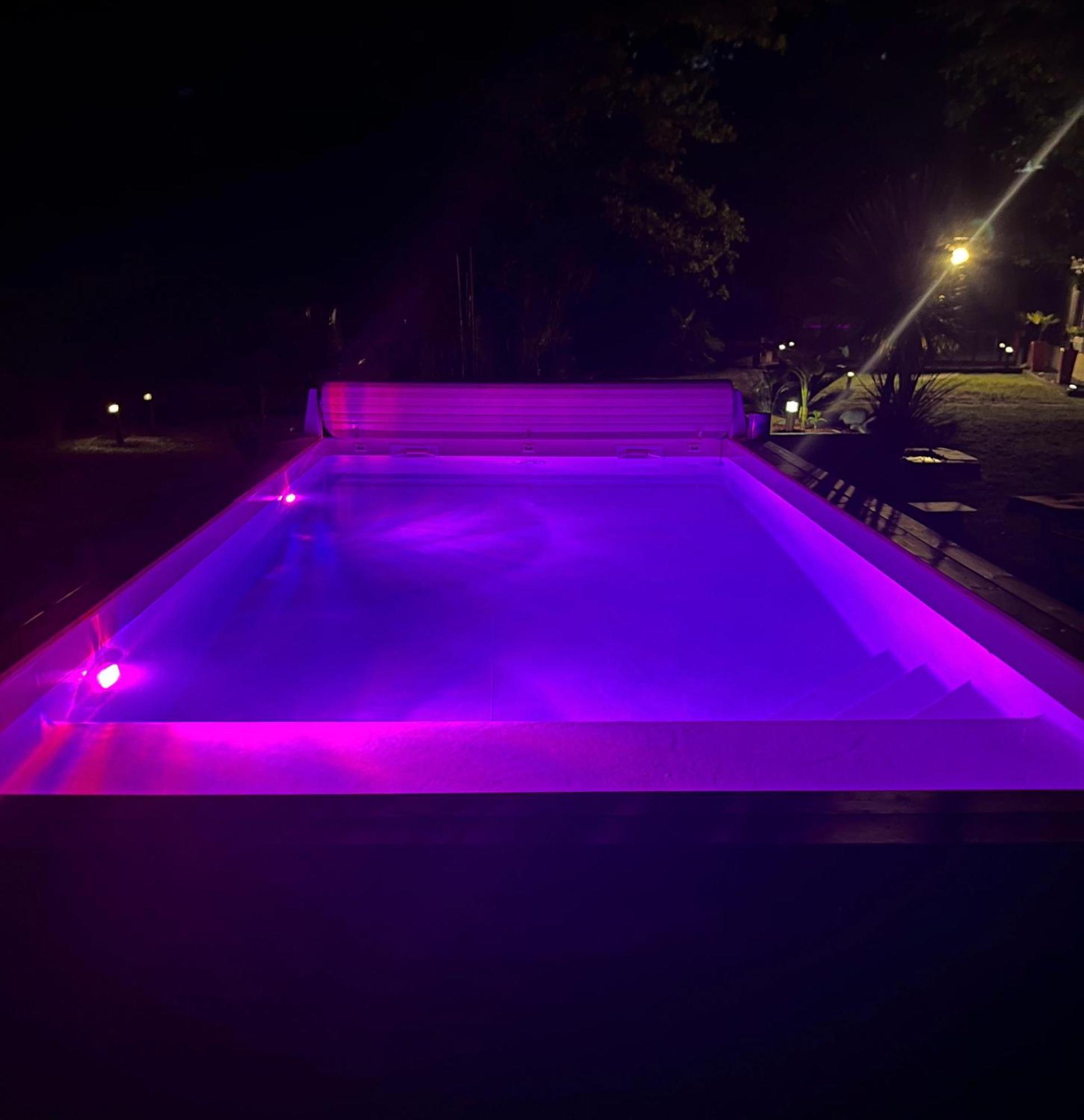 House De La Canopee, Swimming Pool, Lake, Forest, Large Garden And Wifi Hourtin Exteriör bild