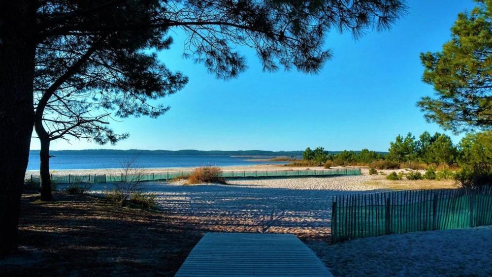 House De La Canopee, Swimming Pool, Lake, Forest, Large Garden And Wifi Hourtin Exteriör bild