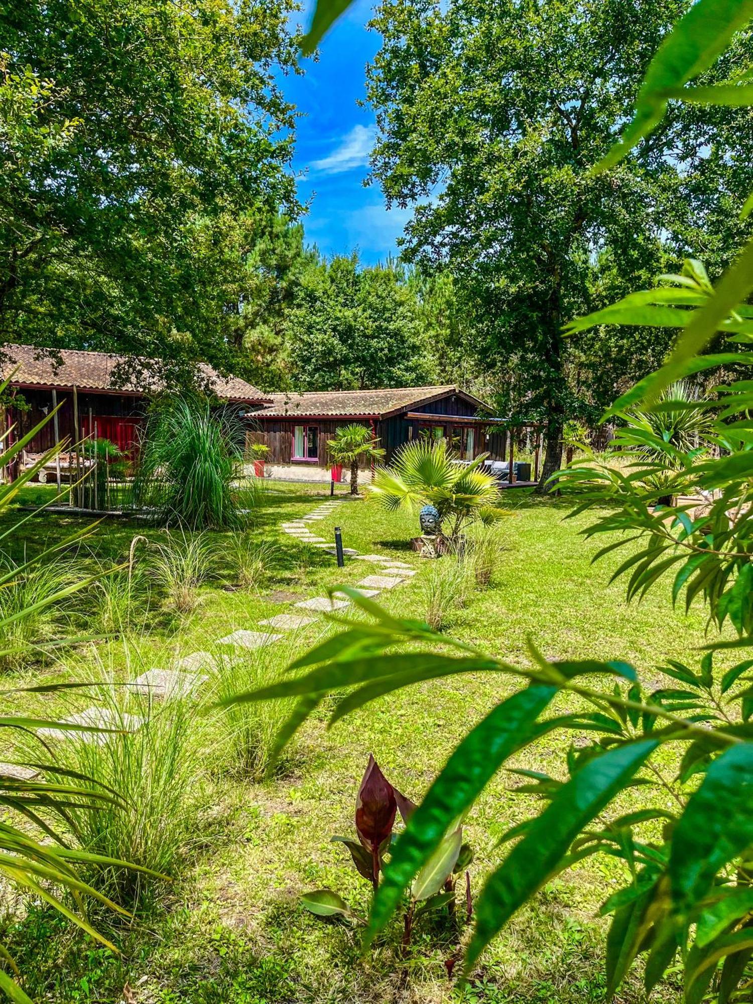 House De La Canopee, Swimming Pool, Lake, Forest, Large Garden And Wifi Hourtin Exteriör bild